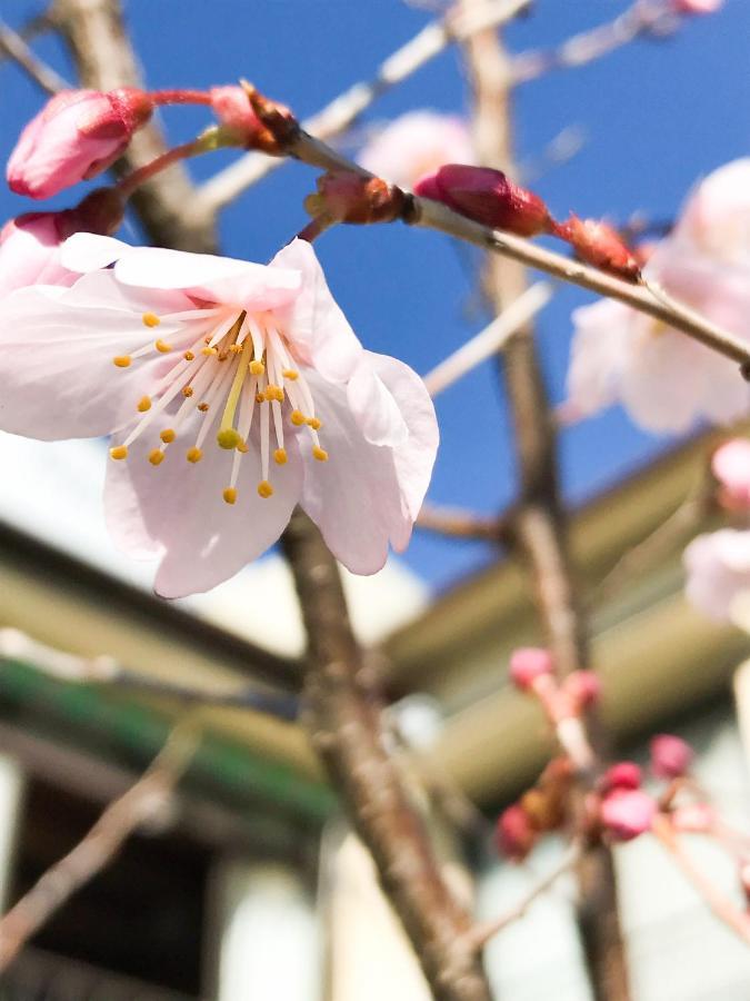 Guesthouse Nishihara 아타미 외부 사진